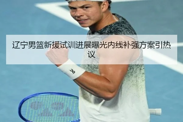 辽宁男篮新援试训进展曝光内线补强方案引热议